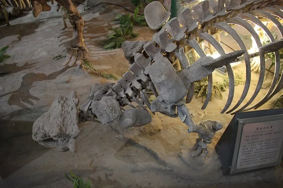 Michael Crichton - Henan Geological Museum, Zhengzhou, China. Complete indexed photo collection at WorldHistoryPics.com.