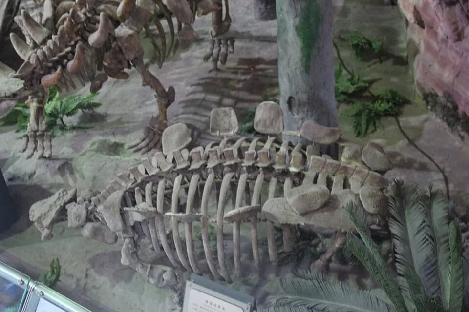Michael Crichton - Henan Geological Museum, Zhengzhou, China. Complete indexed photo collection at WorldHistoryPics.com.