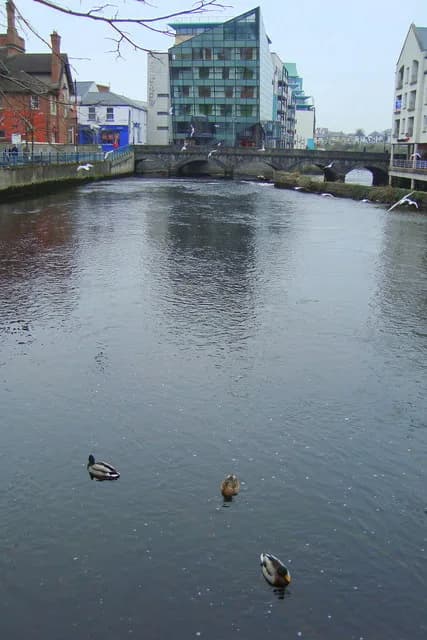 Douglas Hyde - Garavogue River: Sligo