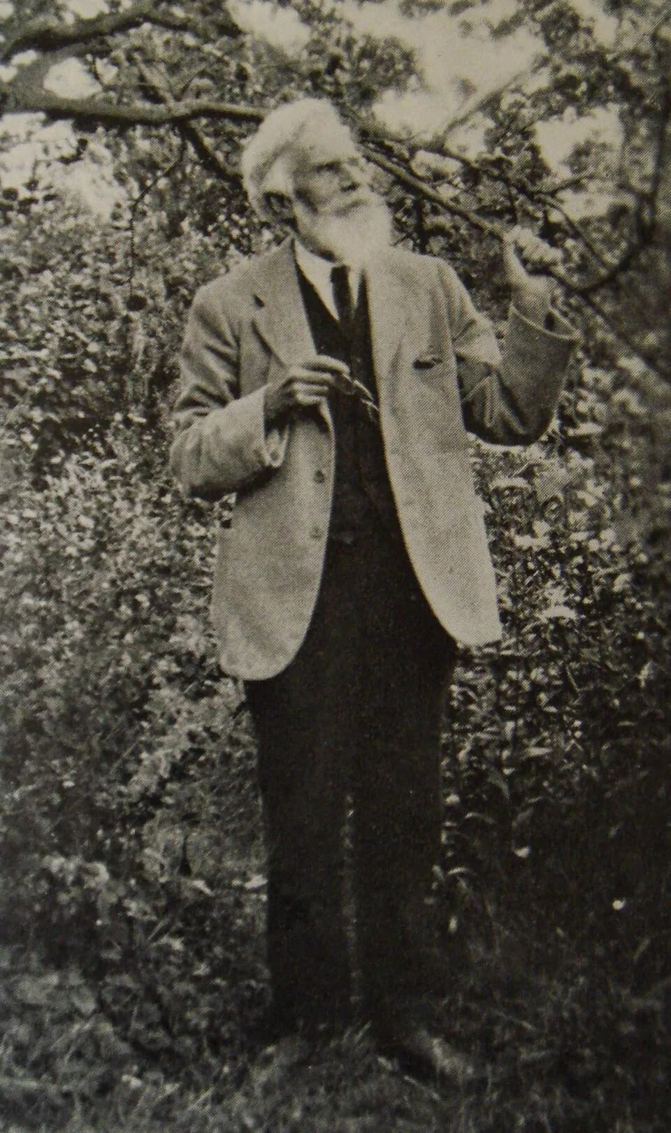 Havelock Ellis - Havelock Ellis.
