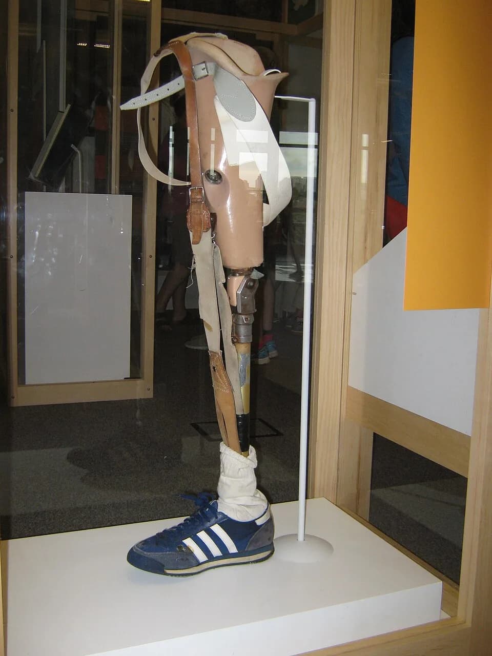 Terry Fox - Terry Fox's "favourite" prosthetic leg.  Photographed at the Canadian Museum of History, 30-Jun-2015.  This leg was built by prosthetic specialist Ben Speicher of Vancouver, British Columb