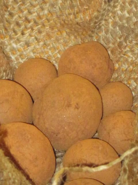 Masanobu Fukuoka - Picture of dry seedballs