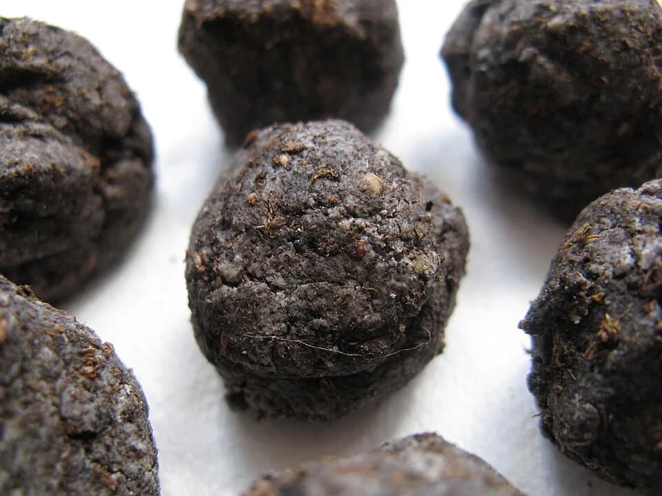 Masanobu Fukuoka - One part Bentonite clay powder, one part potting compost, some poppy and nasturtium seeds, and enough water to make it stick.