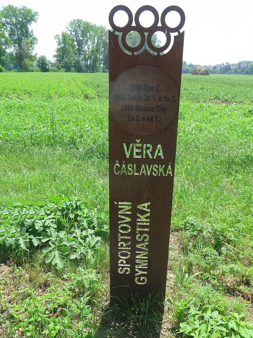 Věra Čáslavská - One of the metal plaques dedicated to the sporting achievements of the Czech Olympian Věra Čáslavská. The plaque is located in the Alley of Olympians in the Hluchovs tree line, which