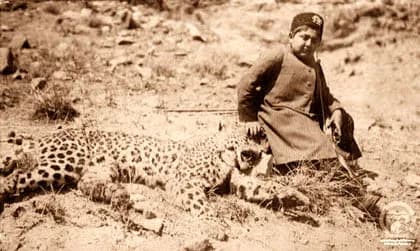 Ahmad Shah Qajar - Ahmad Shah Qajar and a Leopard. Azerbaijan