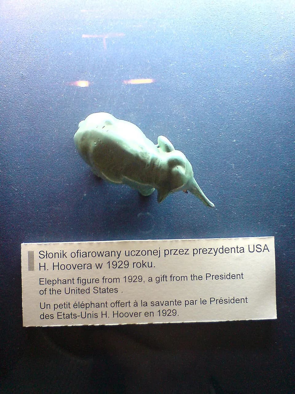 Herbert Hoover - Słonik ofiarowany Marii Skłodowskiej-Curie przez prezydenta USA H. Hoovera w 1929 roku