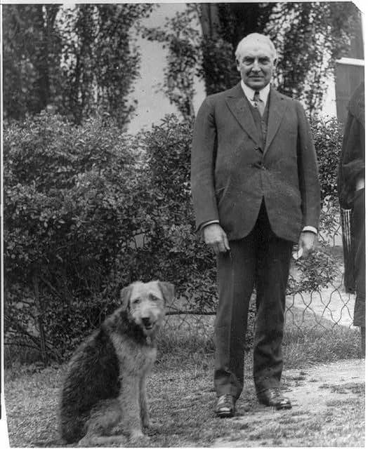 Warren G. Harding - Warren G. Harding, full length, standing, facing front; with his airedale Laddie Boy.
