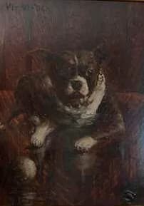 Warren G. Harding - Portrait of Edgewood Hub, Boston Terrier owned by Warren Harding in collection of Ohio History Connection.