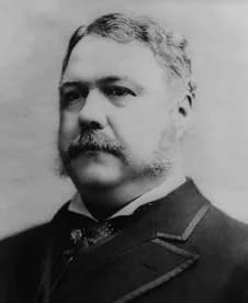 Chester A. Arthur - Chester a arthur illustration.3.jpg