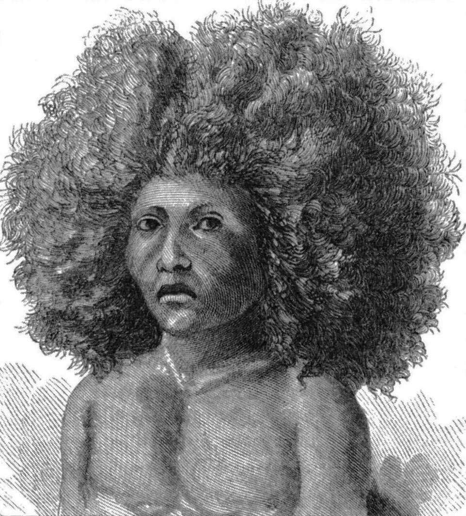 William James - "Head of Alexandrina".  Woodcut based on 1865 drawing by William James in Tefé, Brazil.  Originally published in A Journey in Brazil (1869), by Louis and Elizabeth Agassiz.