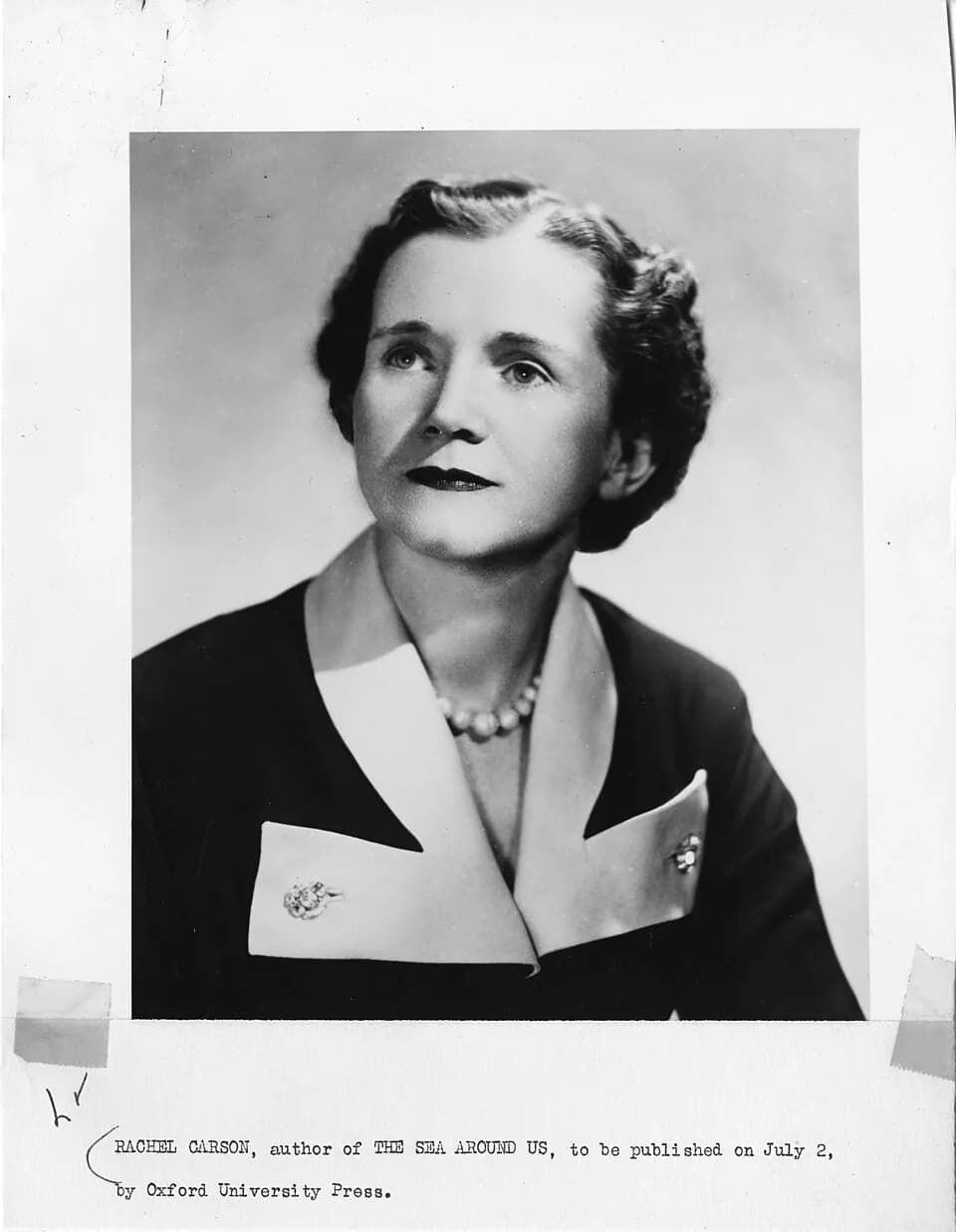 Rachel Carson - Description: Biologist Rachel Louise Carson (1907-1964) began her career with the U.S. Fish and Wildlife Service but achieved fame and social influence with publication of such popular