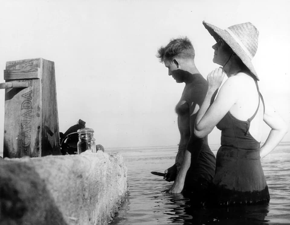 Rachel Carson - Robert W. Hines and Rachel Carson on the Atlantic coast.