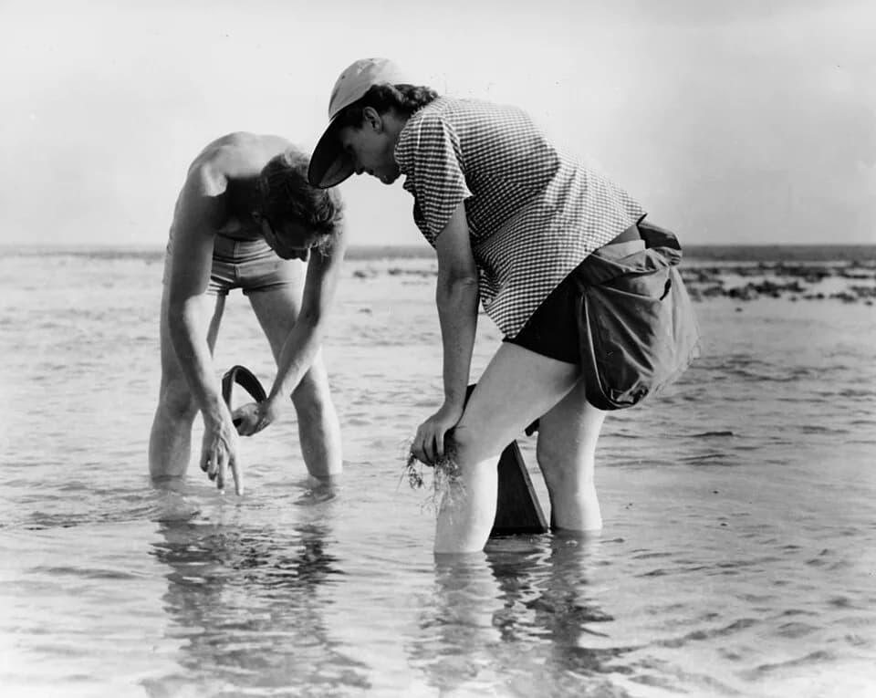 Rachel Carson - Rachel Carson conducts Marine Biology Research with Bob Hines — in the Atlantic (1952).
