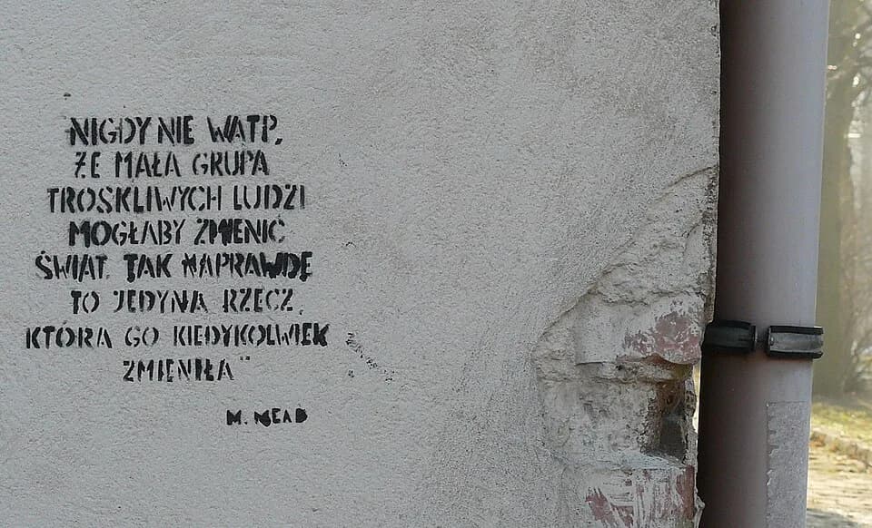 Margaret Mead - Poznan, graffiti - Campus, Szamarzewskiego Street.