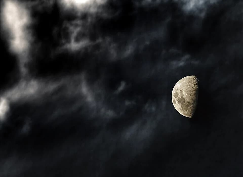 Frank Herbert - - What do you call the mouse shadow on the second moon? 
- We call that one, Muad'Dib
Dune - Frank Herbert

View On Black
