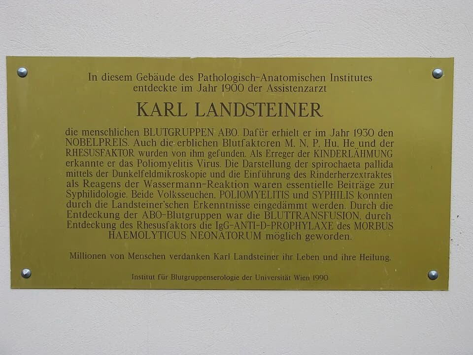 Karl Landsteiner - Pathologisch-Anatomisches Institut