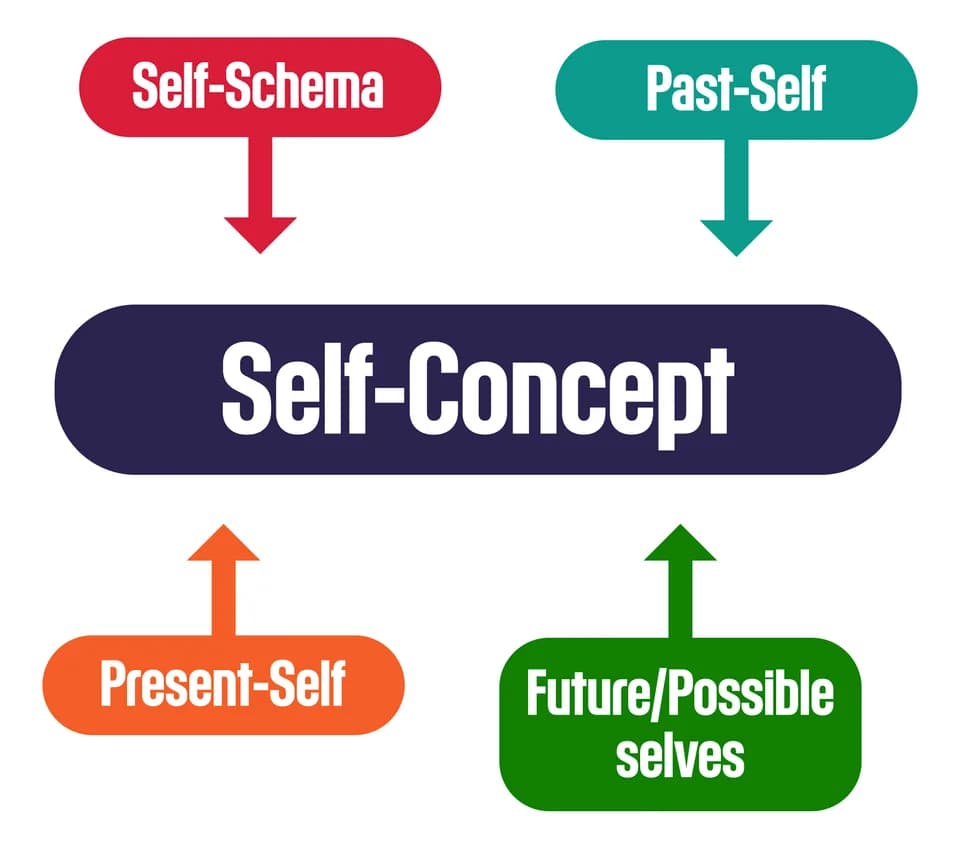 Carl Rogers - The concept of self is made up of self-schemas and their past, present and future selves.