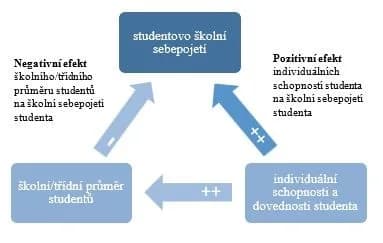 Carl Rogers - Na grafu č. 1 můžeme vidět vztah mezi základními složkami, které ovlivňují školní sebepojetí studenta. Vstupují zde do vztahu individuální schopnosti a dovednosti studenta, které pozitiv