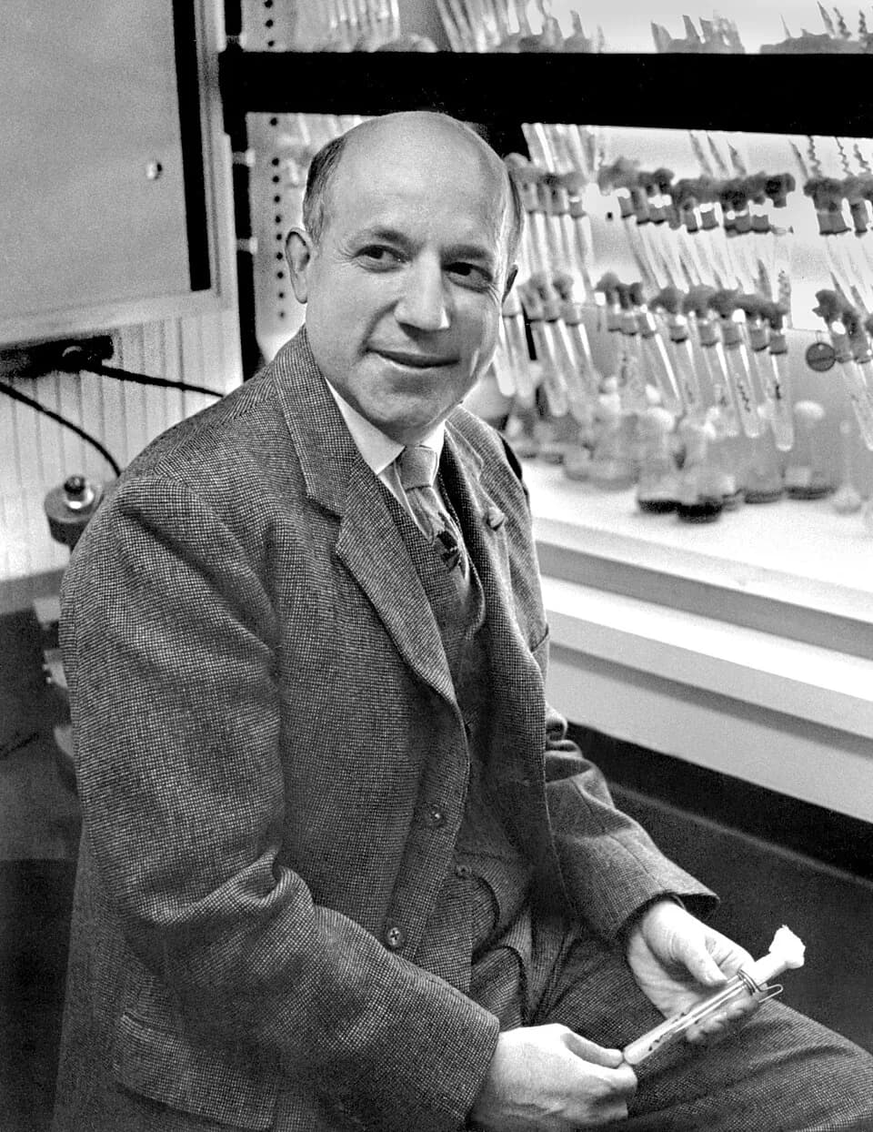 Melvin Calvin - Dr. Melvin Calvin, Nobel Laureate, professor of physics, and Director of the Chemical Biodynamics Laboratory at Lawrence Berkeley Laboratory, works in his photosynthesis laboratory. Dr