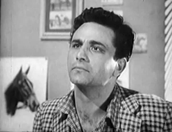 Peter Falk - Cropped screenshot of Peter Falk from the television series Decoy.