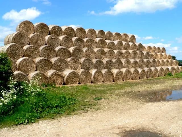 David Hockney - Straw Bales, west south west of Everthorpe, East Riding of Yorkshire, England.A few miles further North, David Hockney painted a watercolour picture of Straw Bales in his series on the