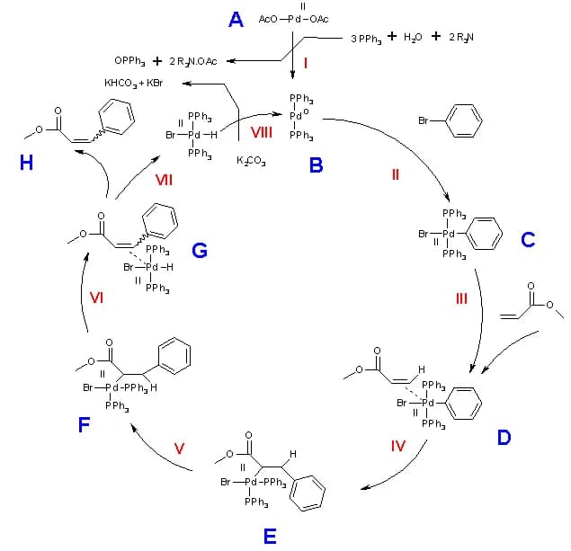 Richard F. Heck - Heck_cycle revised with dangling bond either cis or trans
