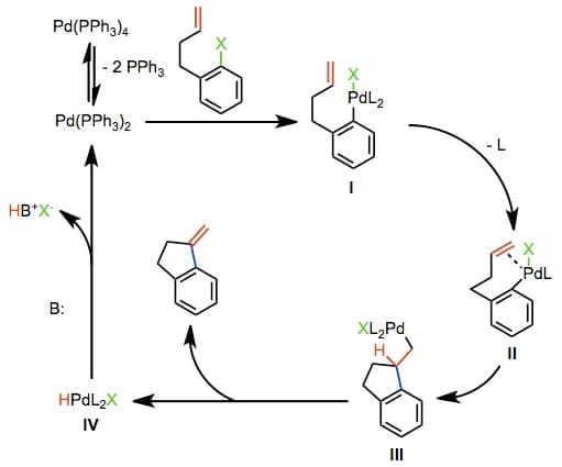 Richard F. Heck - Intramolecular Heck reaction of aryl halides and alkenes: neutral mechanism