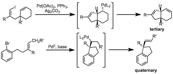 Richard F. Heck - Intramolecular Heck reaction: establishing tertiary and quaternary centers
