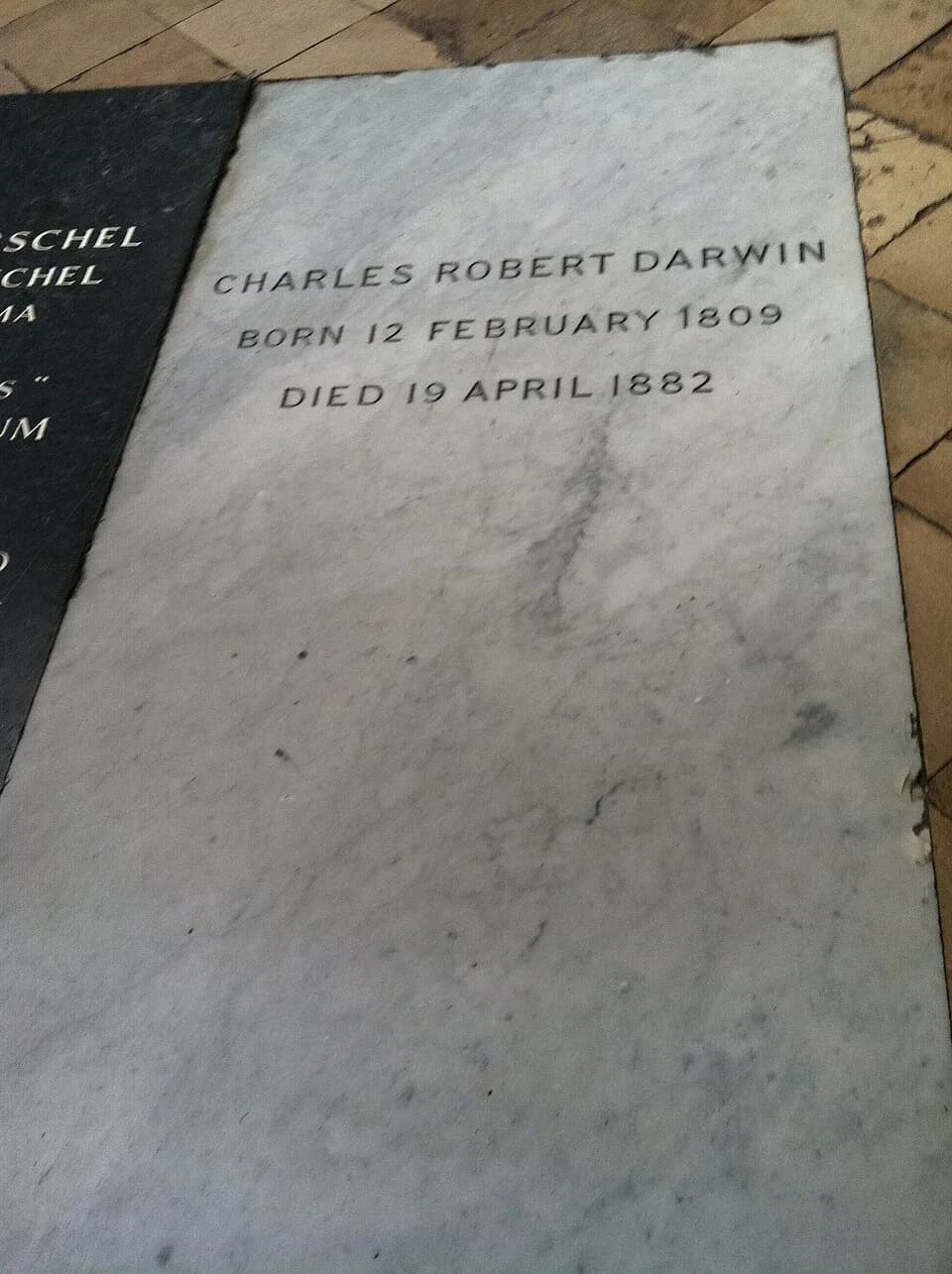 Charles Darwin - London