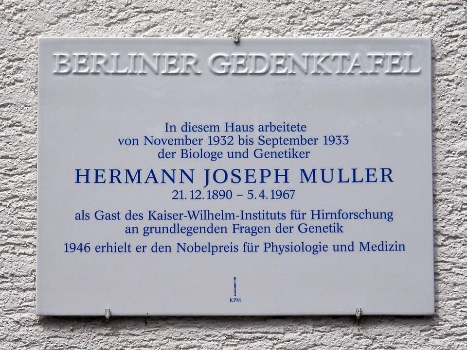 Hermann Joseph Muller - Berliner Gedenktafel für Hermann Joseph Muller am Gebäude des ehemligen Instituts für Hirnforschung in Berlin-Buch.