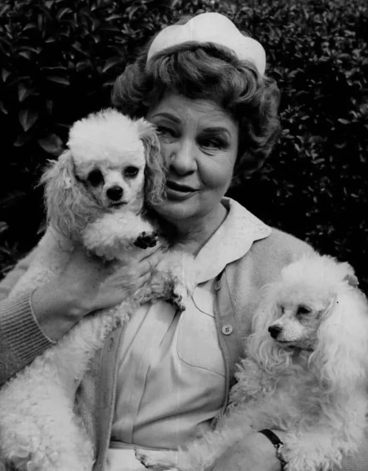 Shirley Booth - Shirley Booth with her two dogs Grazie (left) and Prego between takes on the set of the television program Hazel.