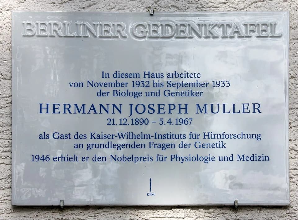 Hermann Joseph Muller - Berlin memorial plaque, Hermann Joseph Muller, Robert-Rössle-Straße 10, Berlin-Buch, Germany