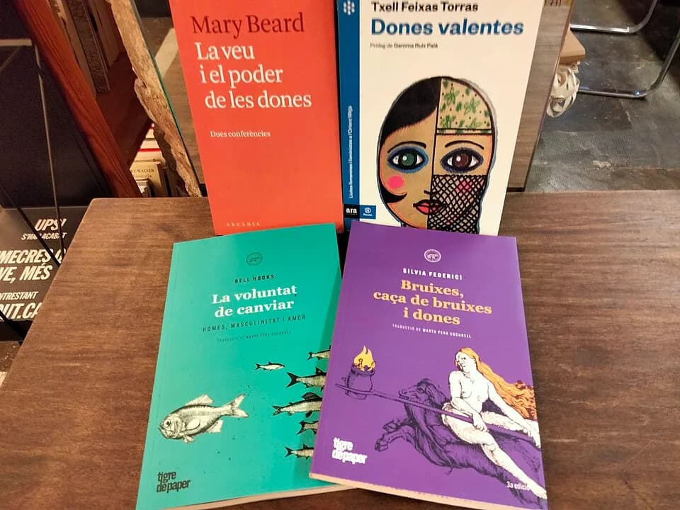 bell hooks - Lot de llibres per un concurs 2