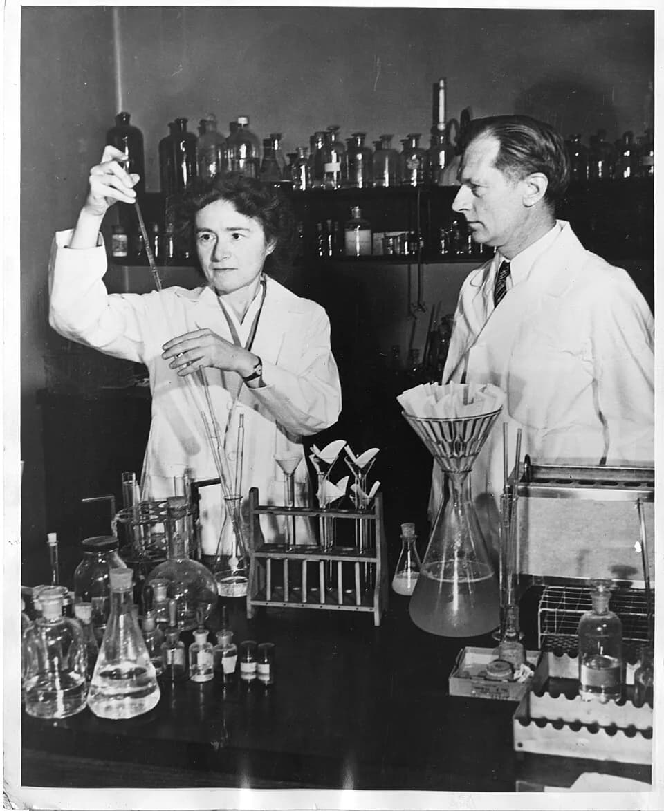 Carl Ferdinand Cori - Description: Biochemist Gerty Theresa Radnitz Cori (1896-1957) and her husband Carl Ferdinand Cori (1896-1984) were jointly awarded the Nobel Prize in medicine in 1947 for their 