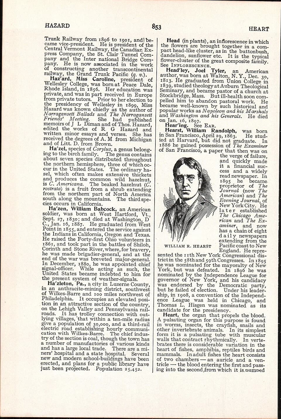 William Randolph Hearst - LA2-NSRW-2-0397.jpg