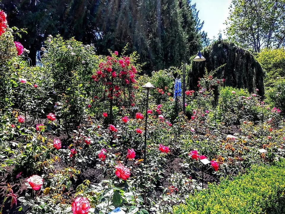 Coretta Scott King - Butchart Gardens - Victoria, British Columbia, Canada