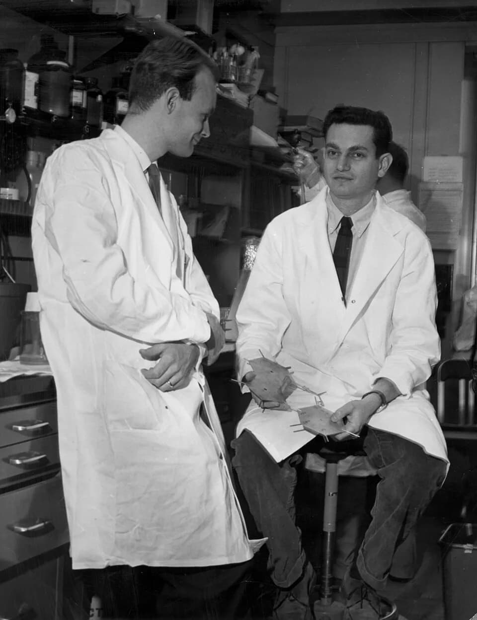 Marshall Warren Nirenberg - Heinrich Matthaei was Marshall Nirenberg's first postdoctoral researcher. Their collaboration led to the now famous protein synthesis poly-U experiments and the first clue 