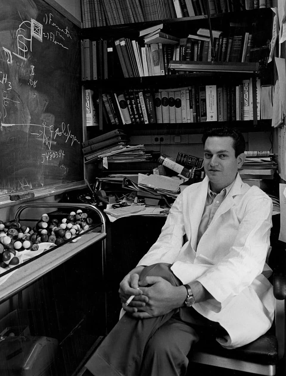 Marshall Warren Nirenberg - Marshall Nirenberg, taken by the National Institutes of Health, ca. 1962