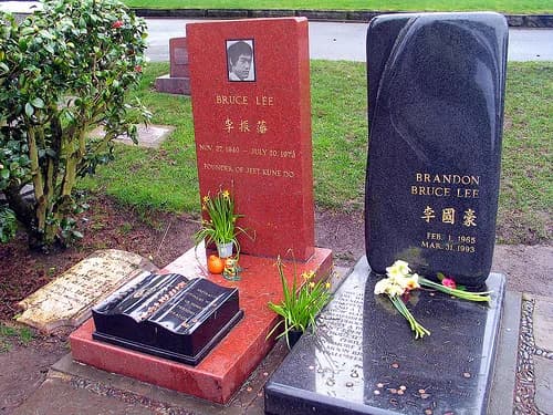 Brandon Lee - da flickr https://www.flickr.com/photos/wien/418848626/