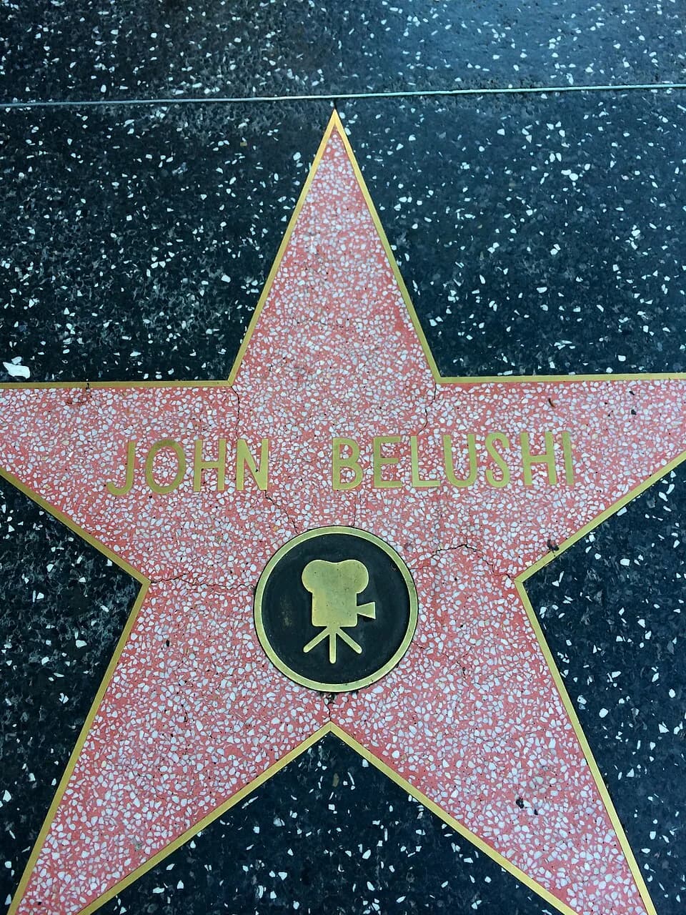 John Belushi - John Belushi's star on the Hollywood Walk of Fame