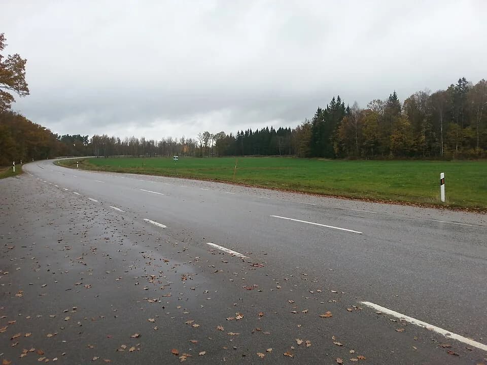 Cliff Burton - This photo, taken October 2014, shows the place Metallica's bassist Cliff Burton was killed in a bus accident in September 1986. The picture is taken towards north on the old E4 (now ca