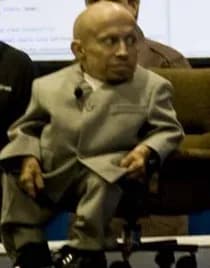 Verne Troyer - Verne Troyer as Minime.