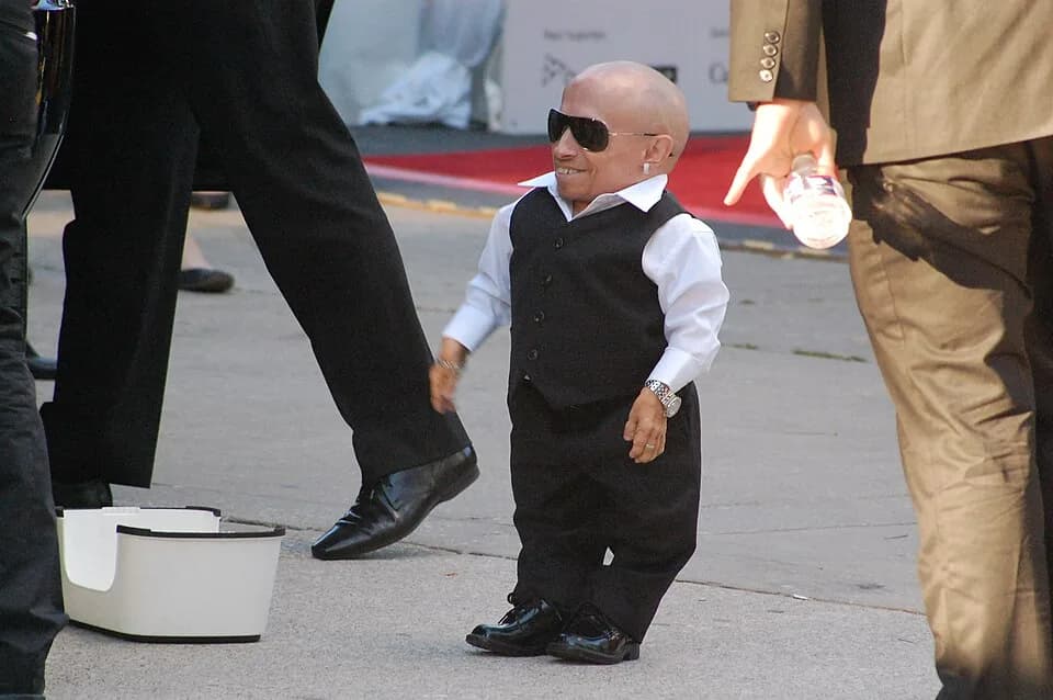 Verne Troyer - Verne Troyer at the premiere of The Imaginarium of Doctor Parnassus at the Roy Thomspon Hall on September 28, 2009