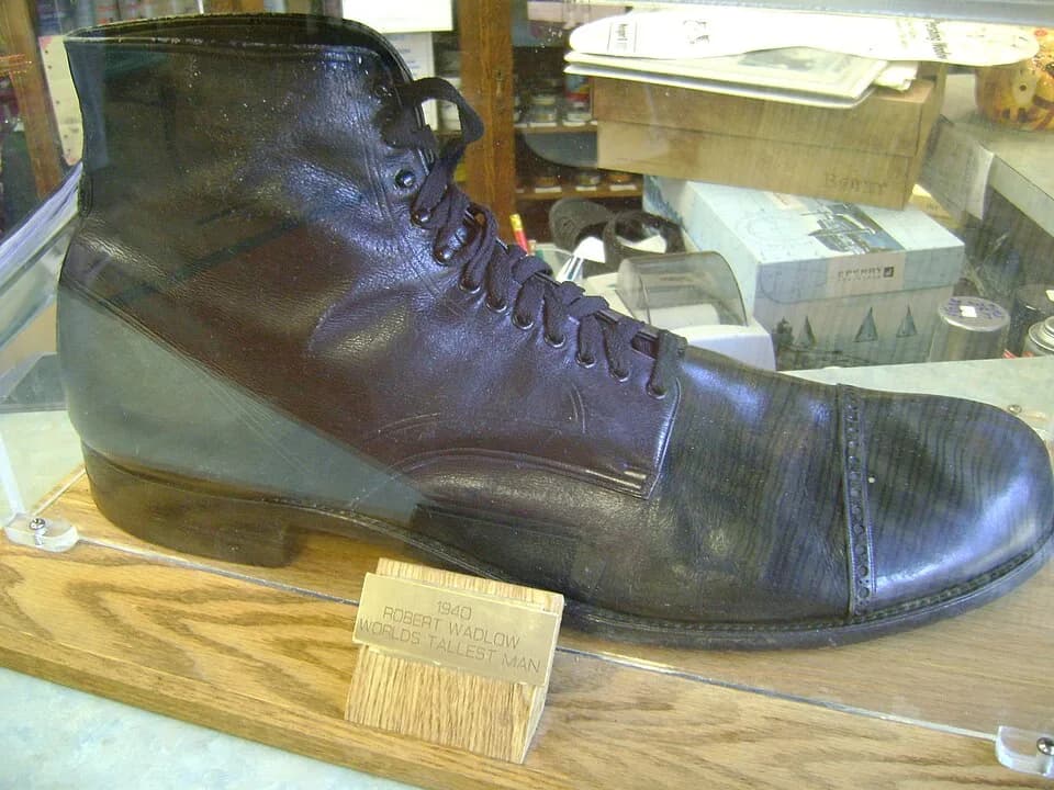 Robert Wadlow - Robert Wadlow shoe located at Snyder Shoes in Manistee, Michigan