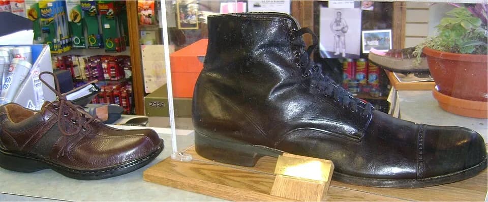Robert Wadlow - Robert Wadlow shoe (size 25) compared to normal size 12.