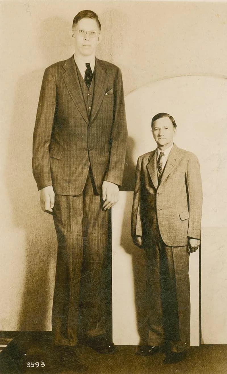 Robert Wadlow - Front of postcard of Robert Wadlow (left) with his average-size father (right).