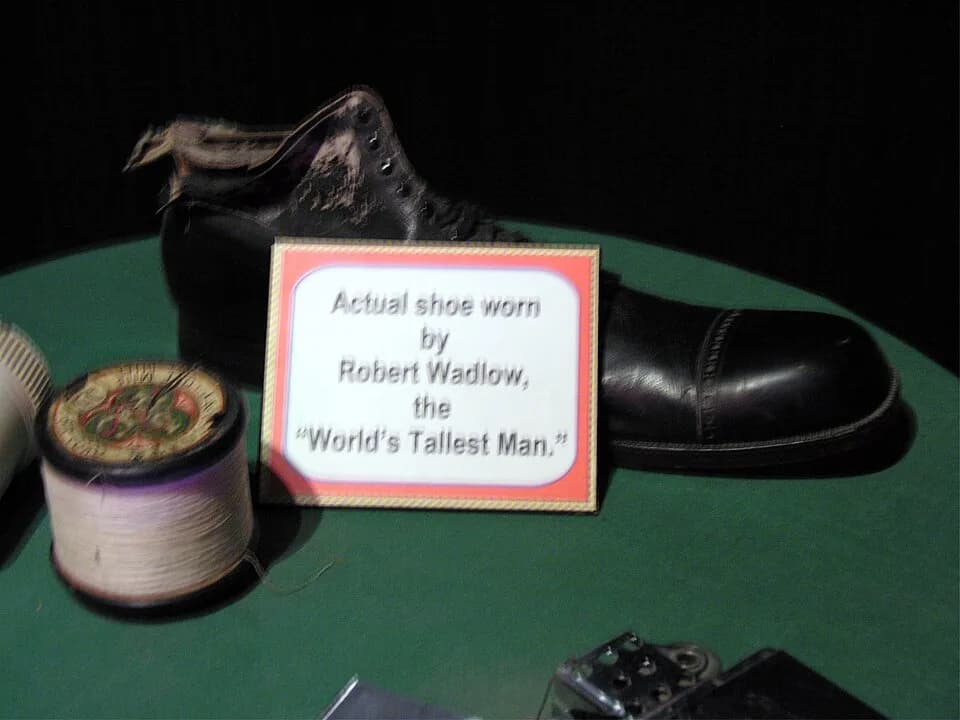 Robert Wadlow - Ripley's - 36AA Shoe