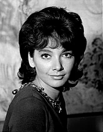 Suzanne Pleshette - Original 7X9 black and white publicity photo of Suzanne Pleshette taken from the historic archives of Silver Screen Mementos. No copyright information shown