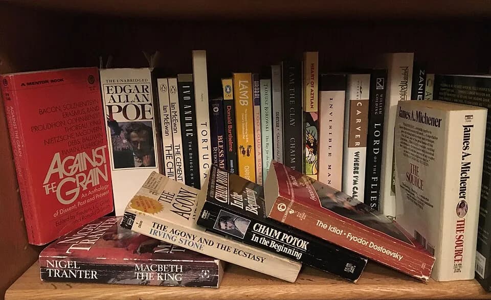 Raymond Carver - Snapshot of a single bookshelf belonging to an academic librarian