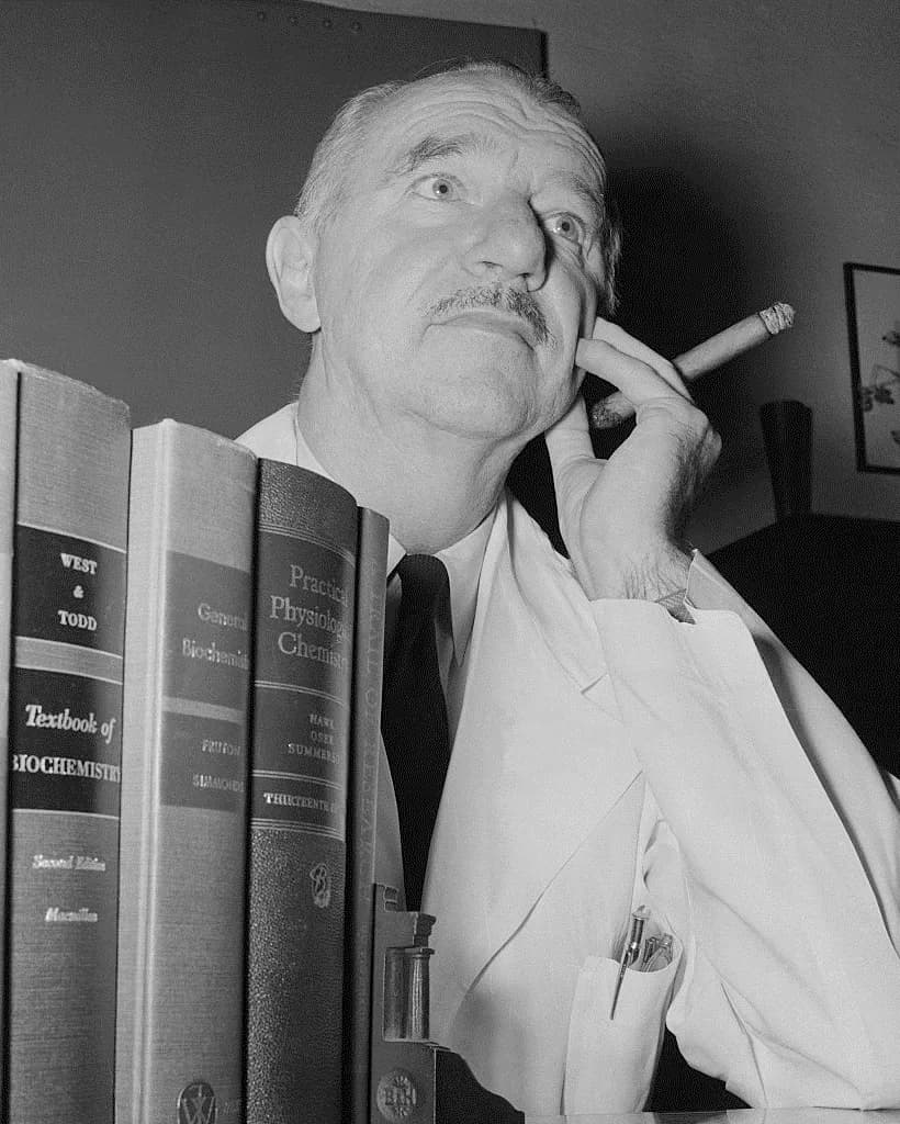 Vincent du Vigneaud - 1955 Nobel Prize Chemist Dr Vincent Du Vigneaud w Cigar Cornell U Press Photo